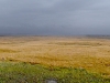 panorama-view-of-reclaimed-oil-sands-tailings-pond