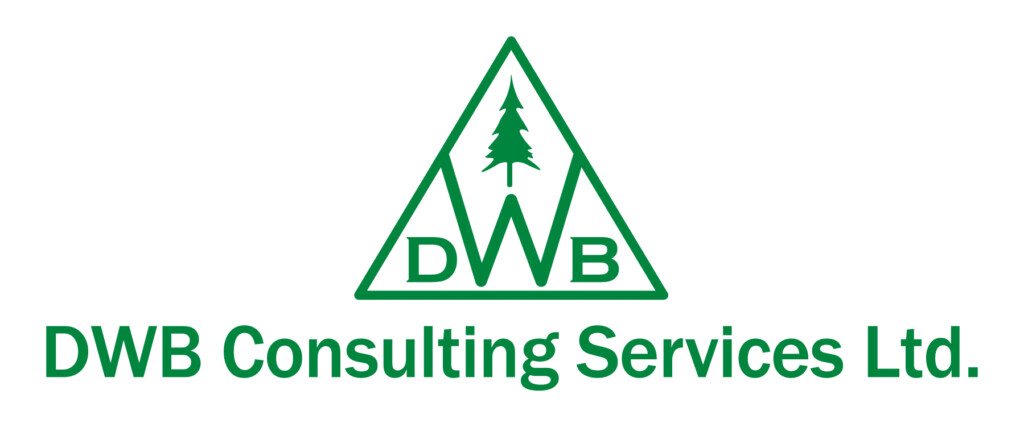 DWB Consulting