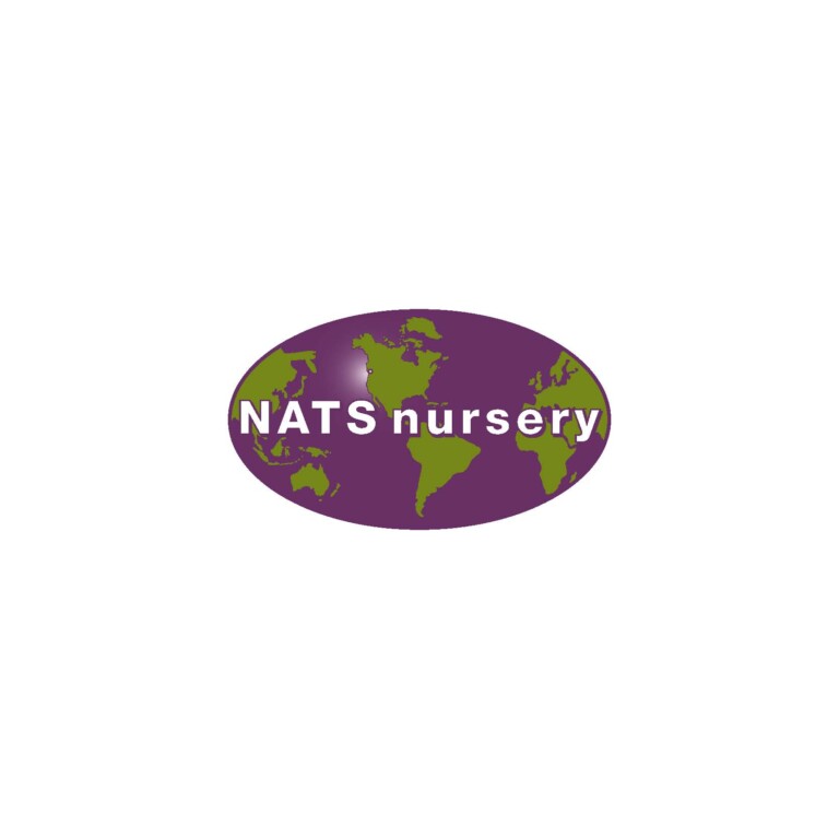 NATS logo